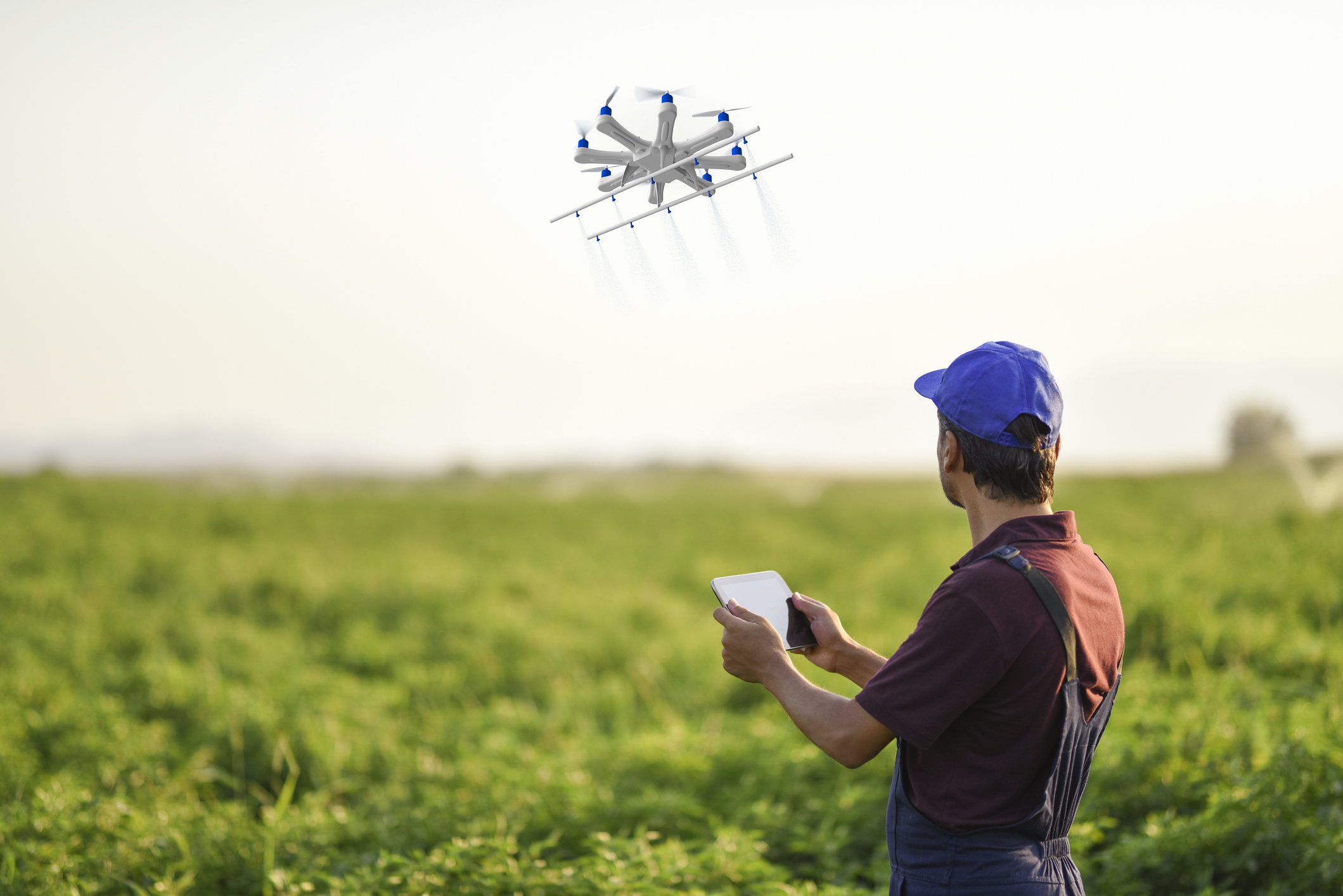 Farmer sprays his crops using a drone
